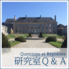 Q&A